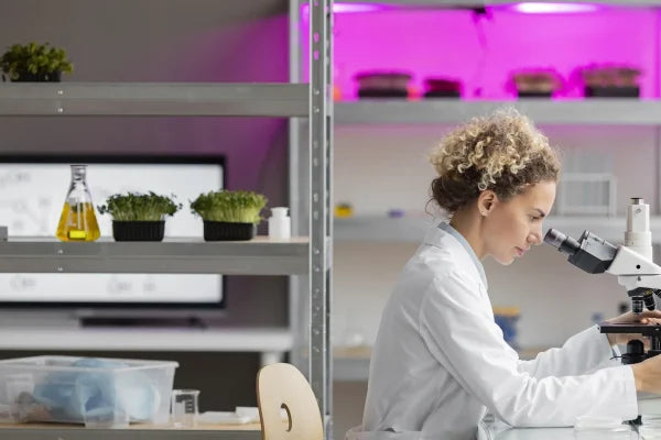 Veza između zdravlja crijeva i mentalnog blagostanja
