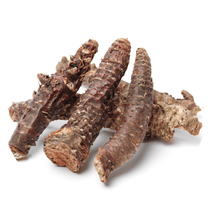 Rhodiola Root