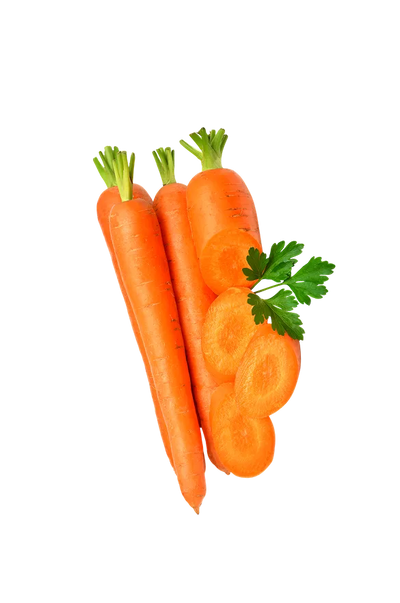 Carrot
