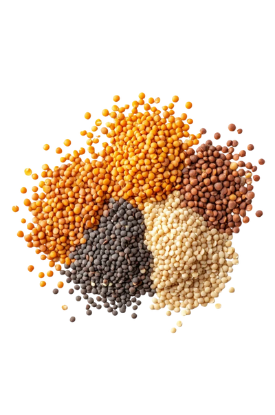 Proteini