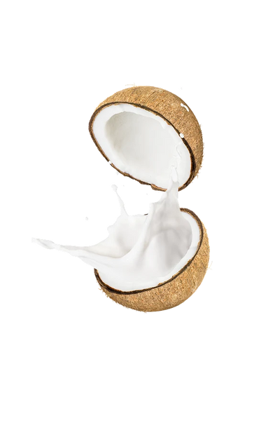 Coconut