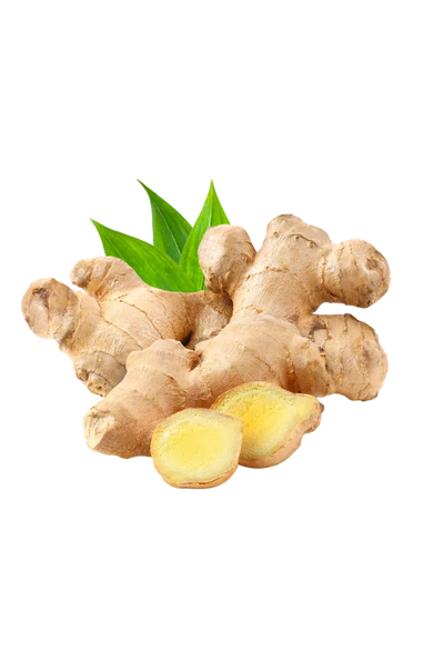 Ginger